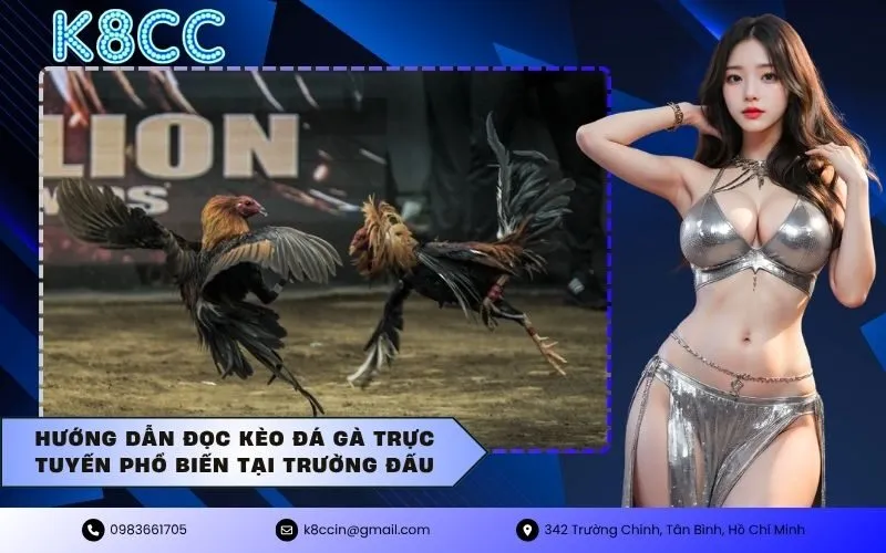 Hướng dẫn đọc kèo đá gà trực tuyến phổ biến tại trường đấu