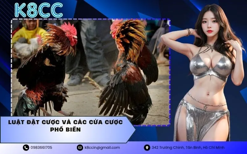 Luật đặt cược và các cửa cược phổ biến