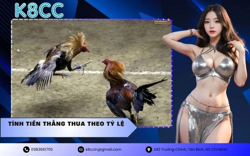 tính tiền thắng thua theo tỷ lệ